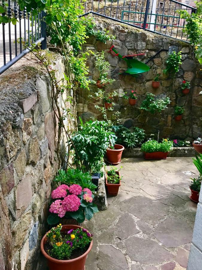 Apartamentos Rurales Los Nogales Cosgaya Εξωτερικό φωτογραφία