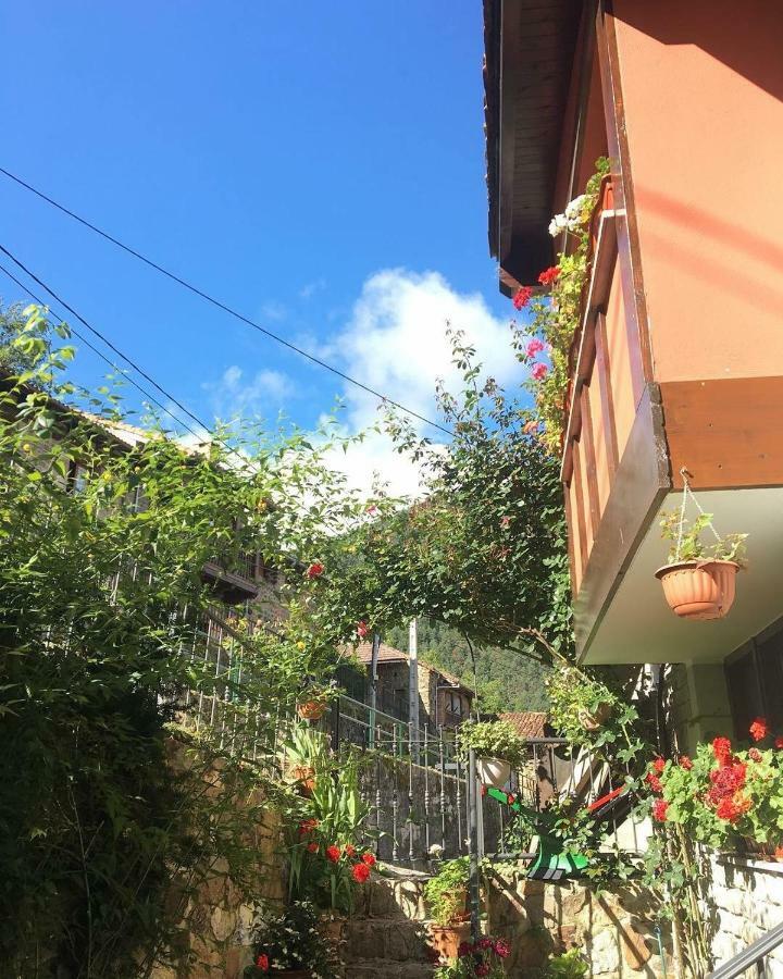 Apartamentos Rurales Los Nogales Cosgaya Εξωτερικό φωτογραφία